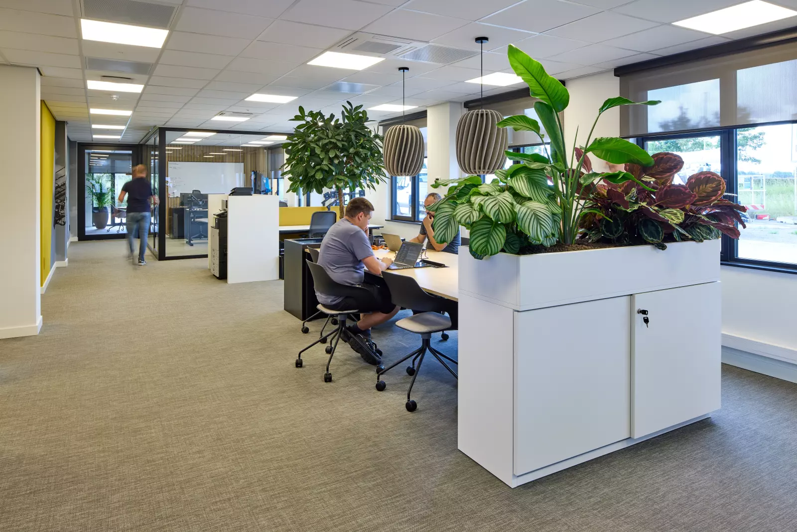 Offenes Büro mit Schreibtischen, Akustiktrennwänden, Tageslicht und Pflanzen.