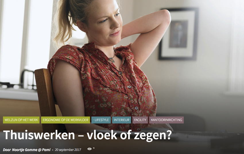 Bizzpoint: thuiswerken image