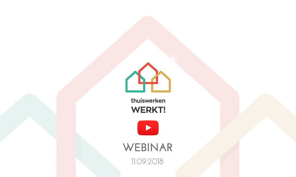 Webinar Thuiswerken Werkt image