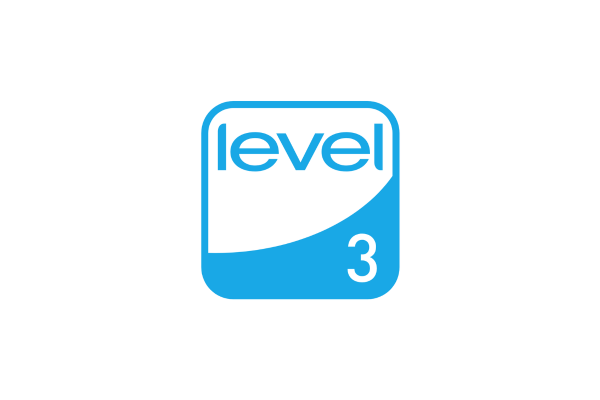 FEMB Level 3